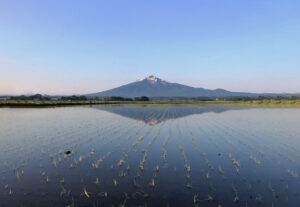 小笠原農園